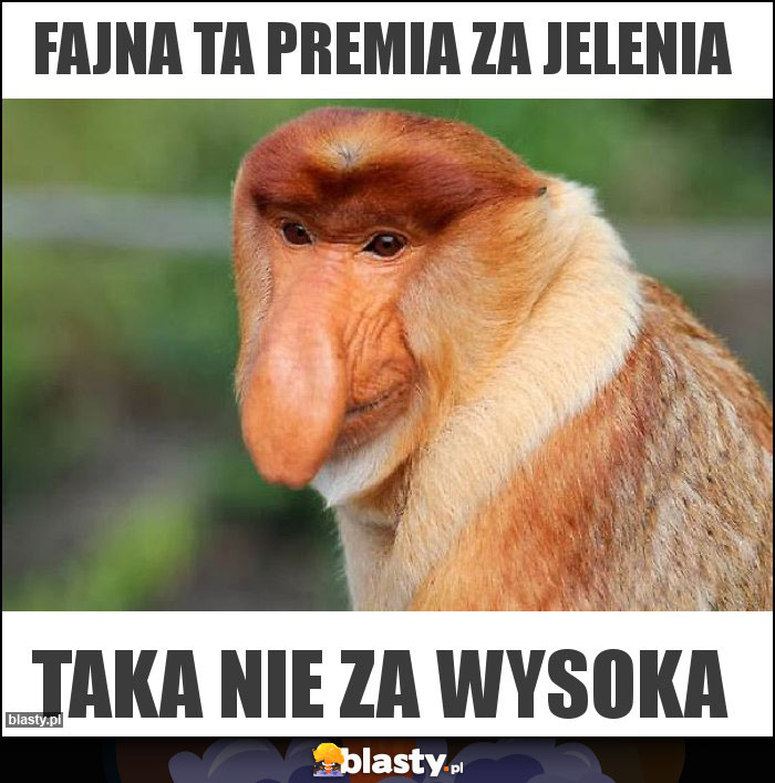 Fajna ta premia za jelenia