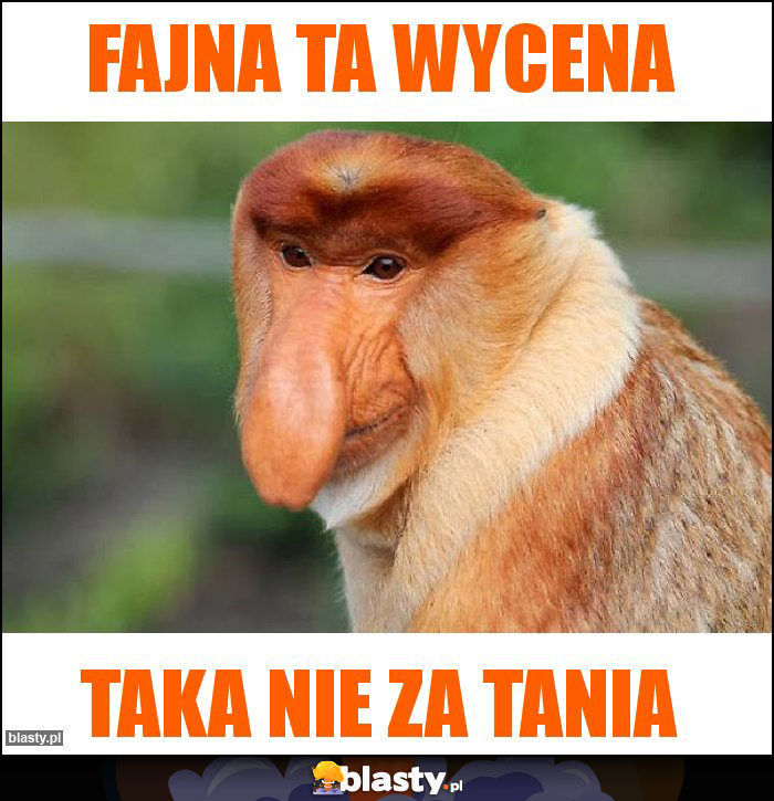 Fajna ta wycena