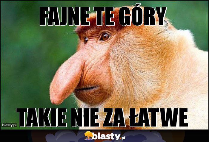 Fajne te góry