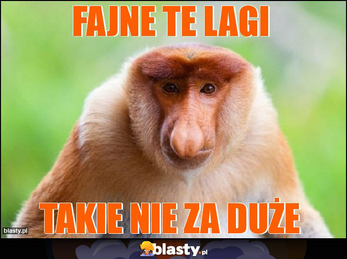 Fajne te lagi