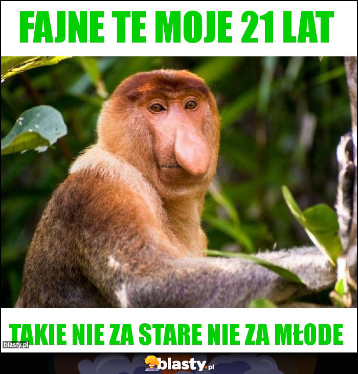 FAJNE TE MOJE 21 LAT