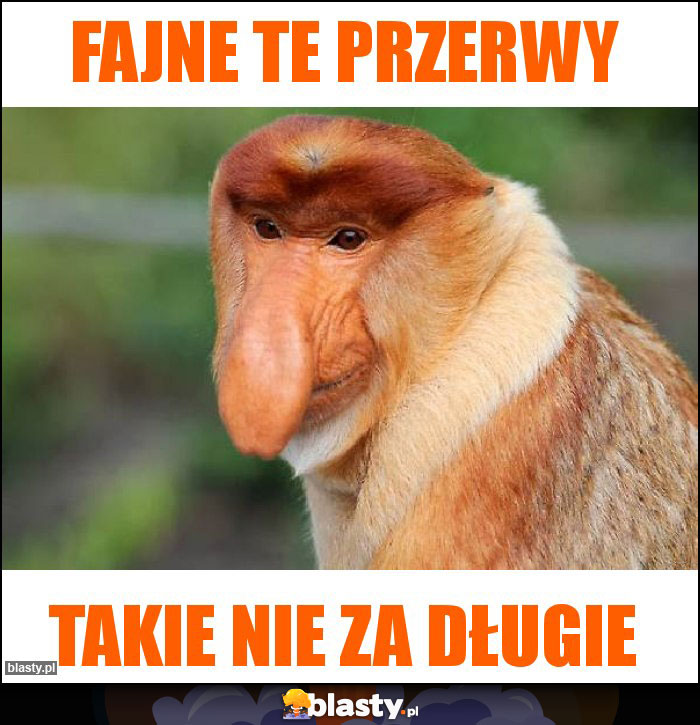 Fajne te przerwy