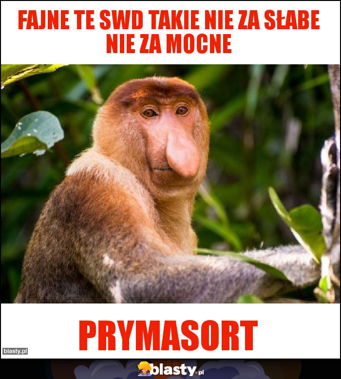 Fajne te swd takie nie za słabe nie za mocne