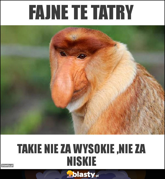 Fajne te Tatry