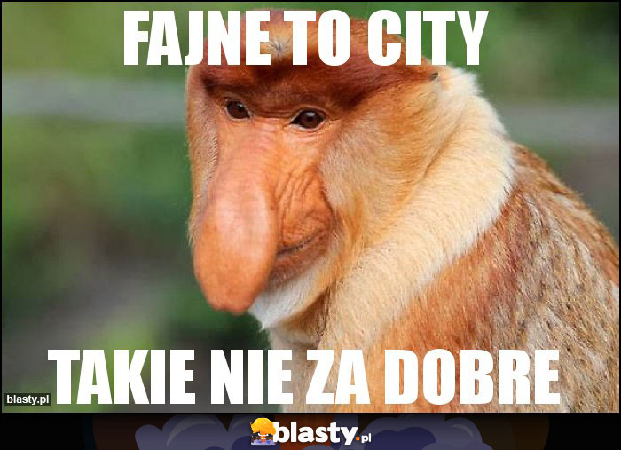 fajne to city