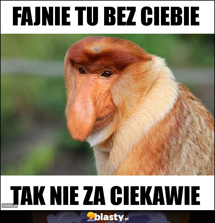 Fajnie tu bez Ciebie