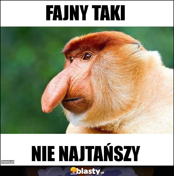 Fajny taki