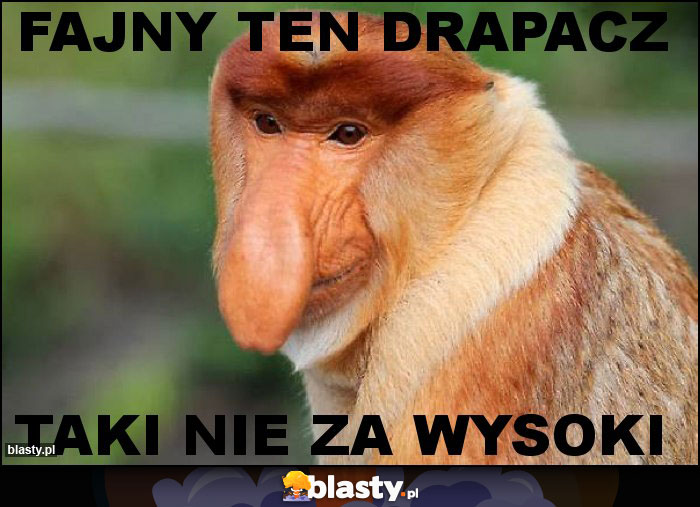 Fajny ten drapacz