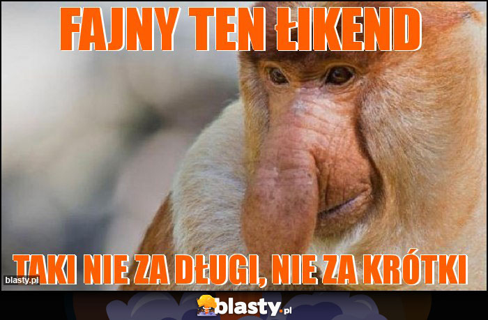 Fajny ten łikend