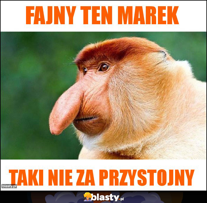 fajny ten Marek