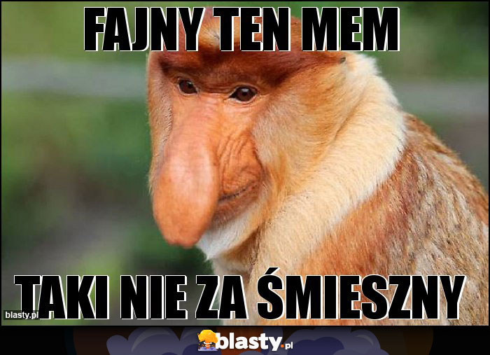 Fajny ten mem