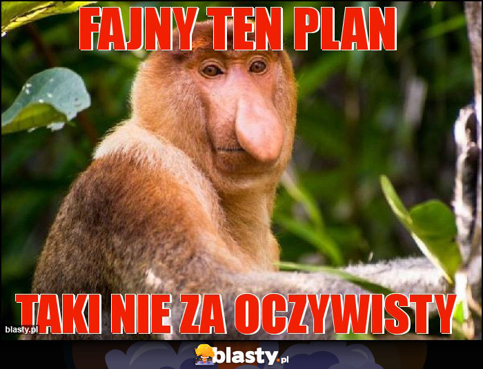 Fajny ten plan