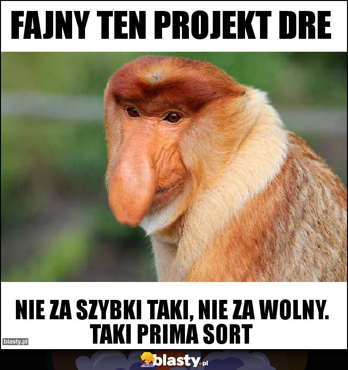 Fajny ten projekt DRE