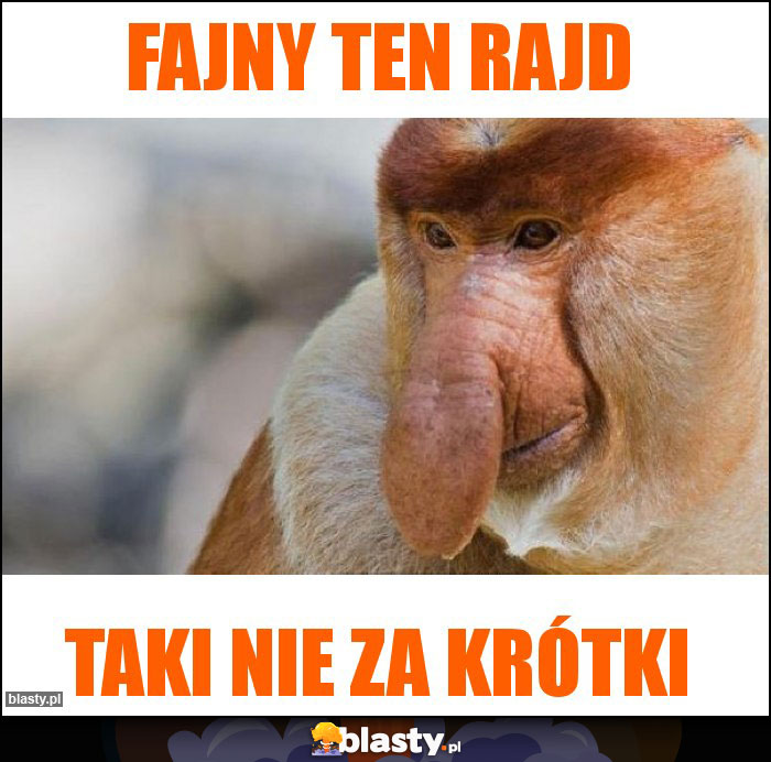 Fajny ten rajd