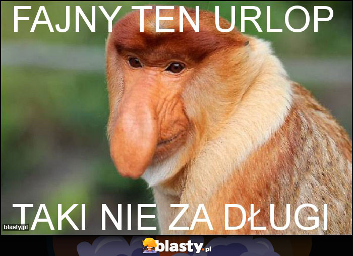 Fajny ten urlop