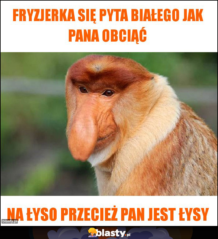 Fryzjerka się pyta białego jak pana obciąć