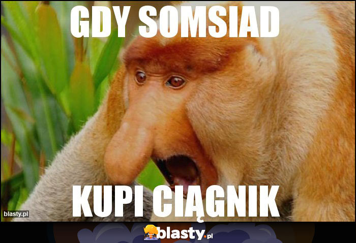 Gdy somsiad