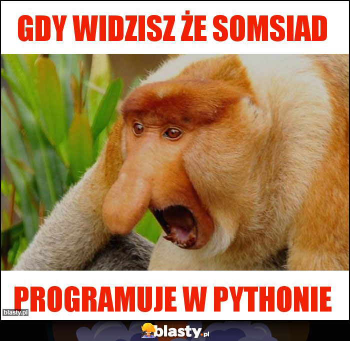 GDY WIDZISZ ŻE SOMSIAD