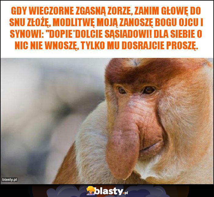 Gdy Wieczorne Zgasna Zorze Zanim Glowe Do Snu Zloze Modlitwe Moja Zanosze Bogu Ojcu I Synowi Dopie Dolcie Sasiadowi Dla Siebie O Nic Nie Wnosze Tylko Mu Dosrajcie Prosze Memy Gify I Smieszne