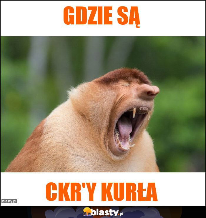 GDZIE SĄ