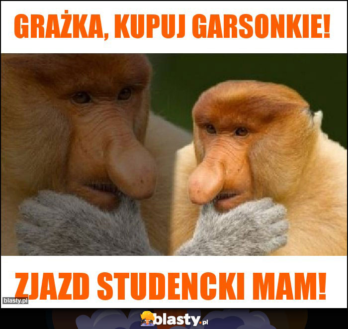 Grażka, kupuj garsonkie!