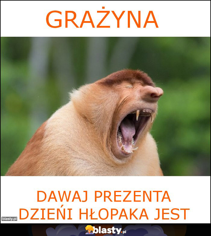 Grażyna