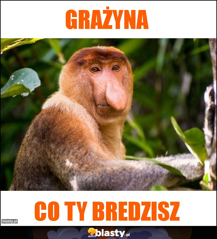 Grażyna