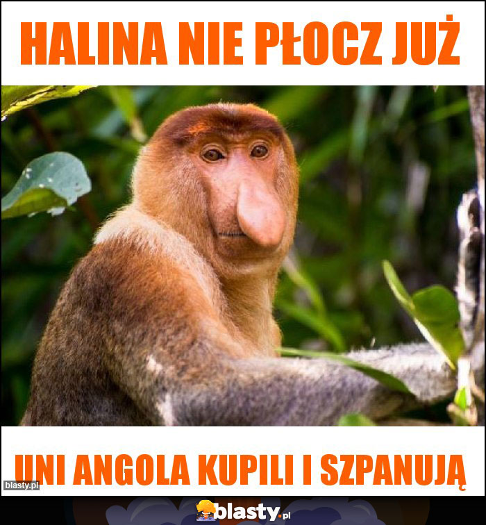 Halina nie płocz już