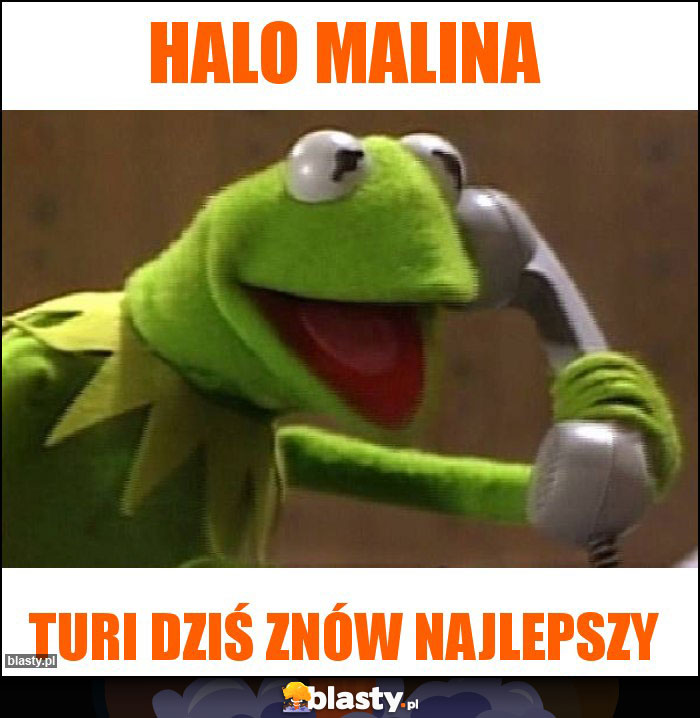 Halo Malina