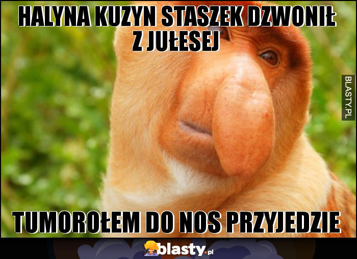 HALYNA KUZYN STASZEK DZWONIŁ Z JUŁESEJ