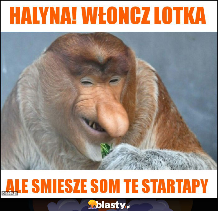 Halyna! Włoncz lotka