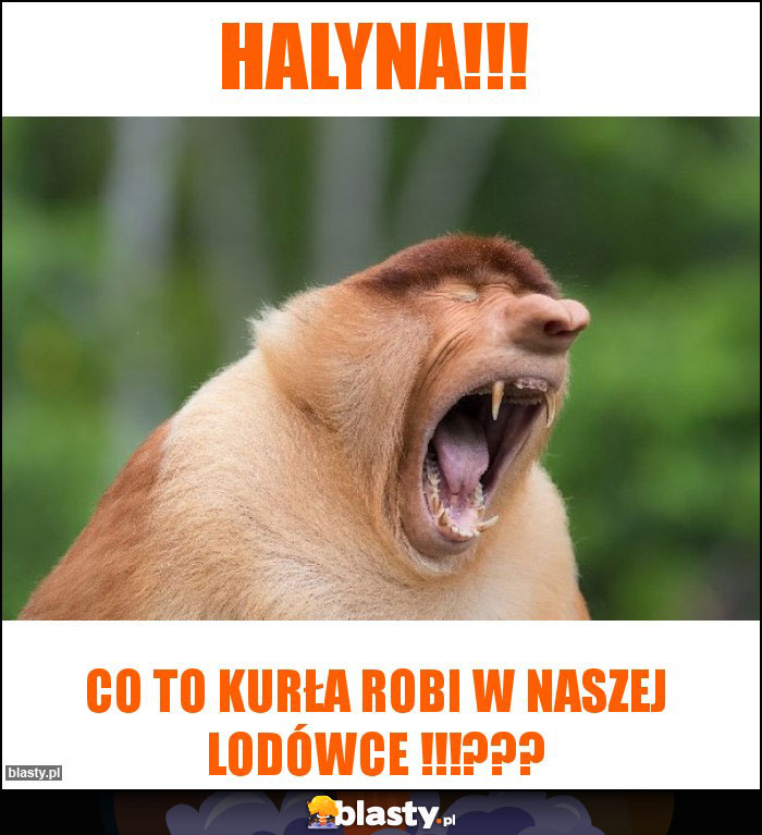 HALYNA!!!