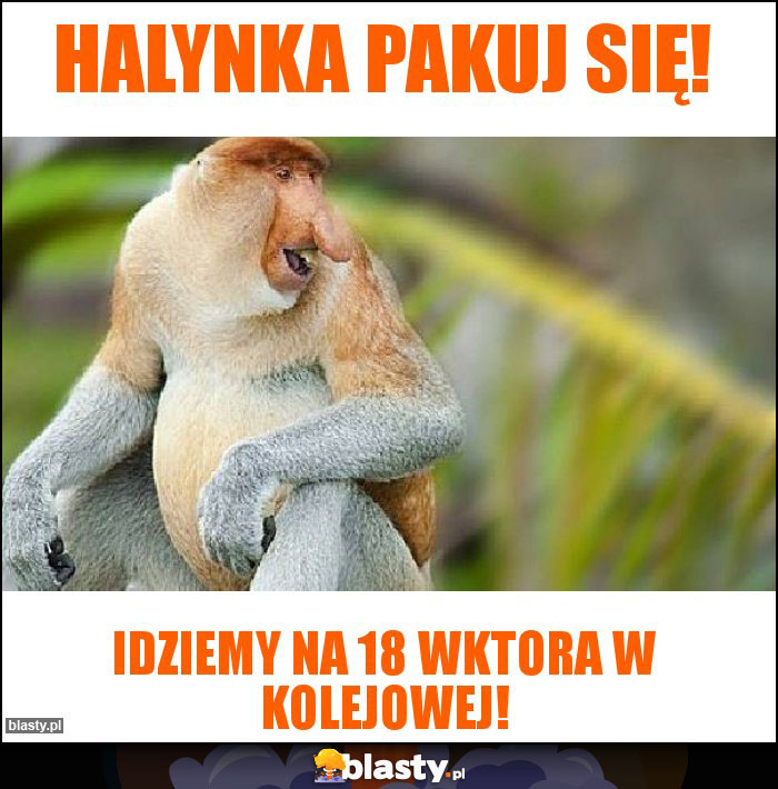 Halynka pakuj się!