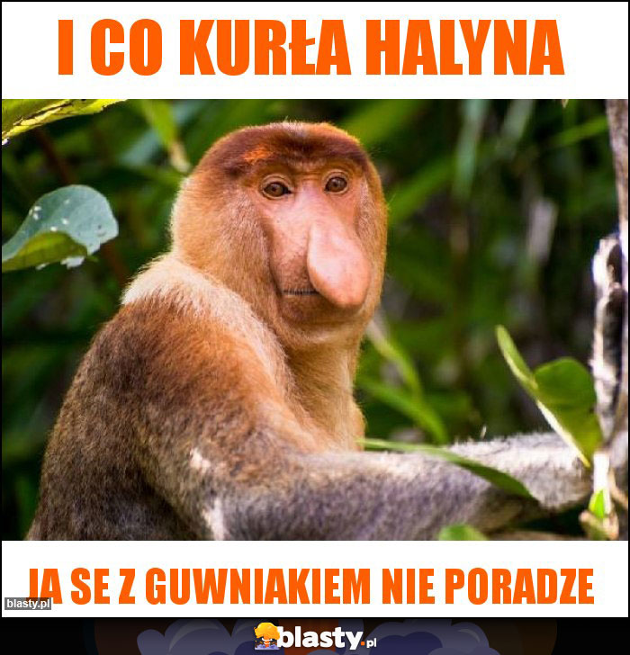 I co kurła Halyna