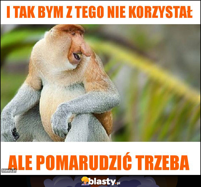 I tak bym z tego nie korzystał