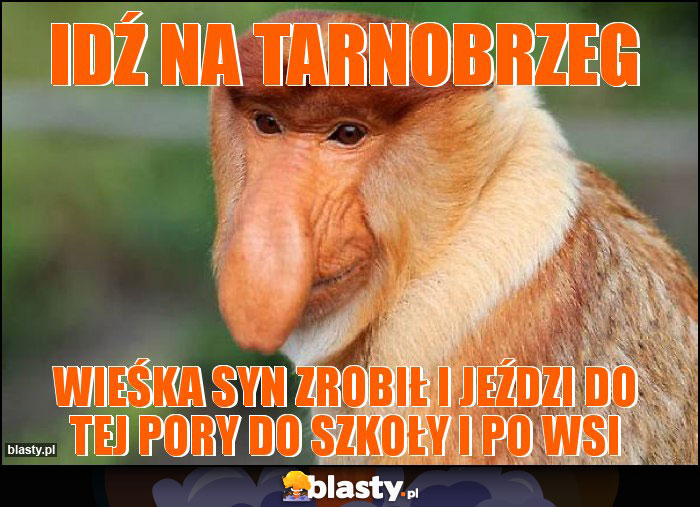 Idź na tarnobrzeg