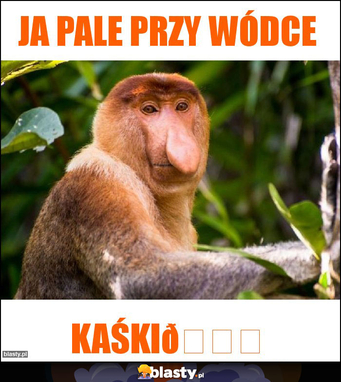 Ja pale przy wódce