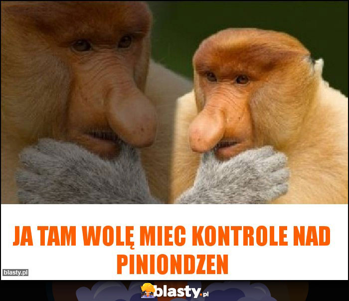 JA TAM WOLĘ MIEC KONTROLE NAD PINIONDZEN