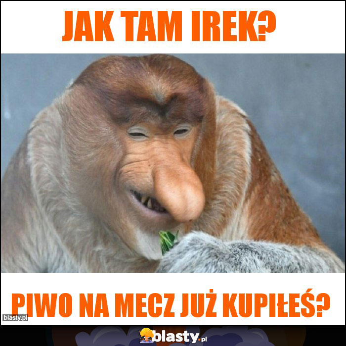 Jak tam Irek?