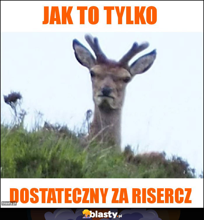 JAK TO TYLKO