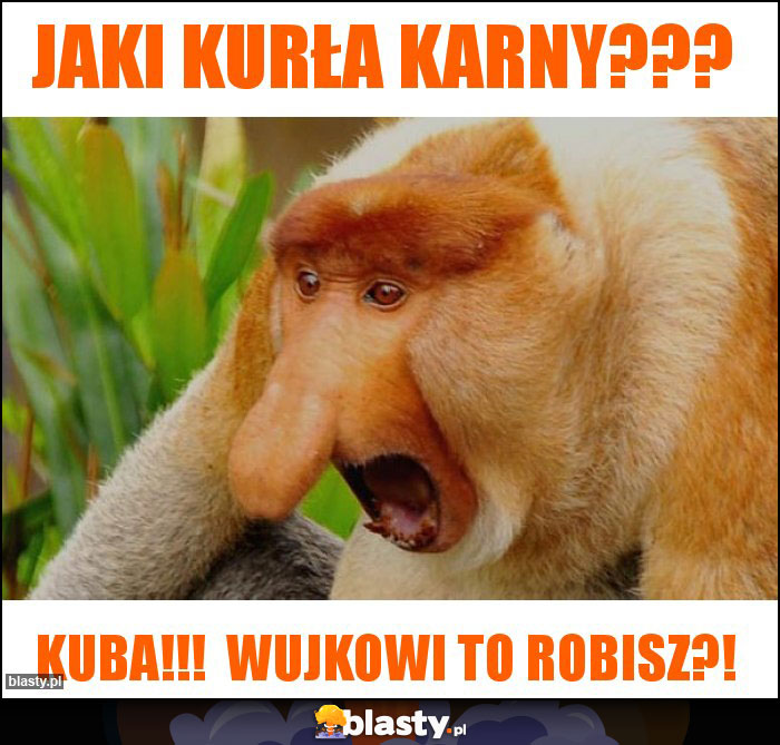 JAKI KURŁA KARNY???