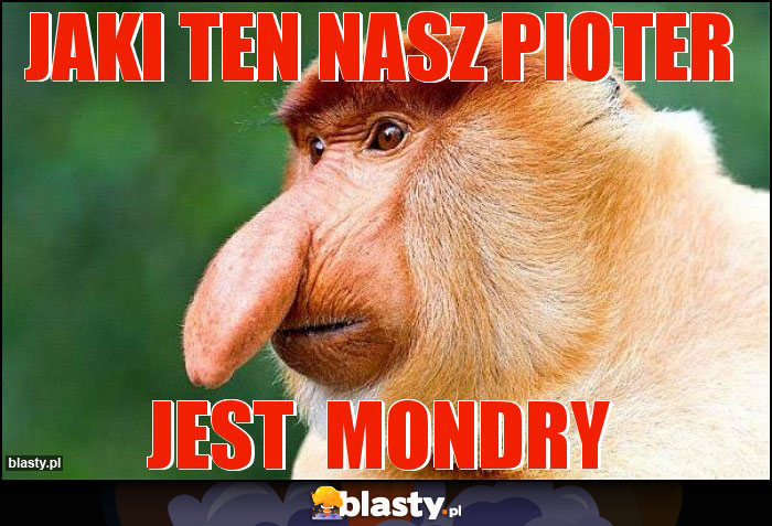 Jaki ten nasz Pioter