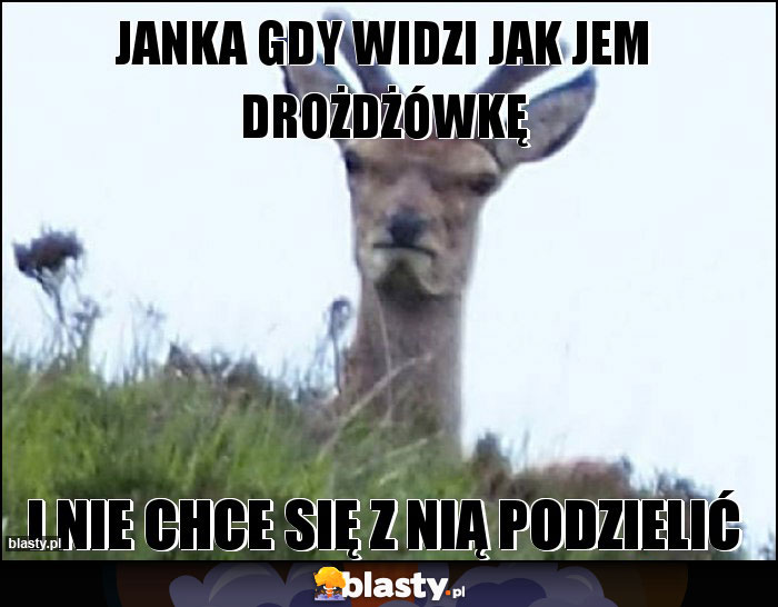 janka gdy widzi jak jem drożdżówkę