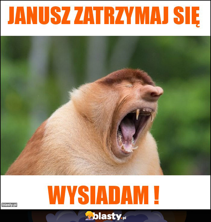 Janusz zatrzymaj się