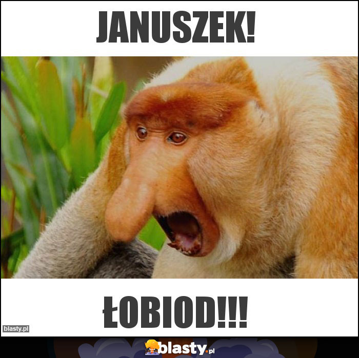 JANUSZek!