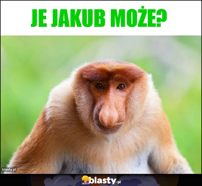 Je Jakub może?