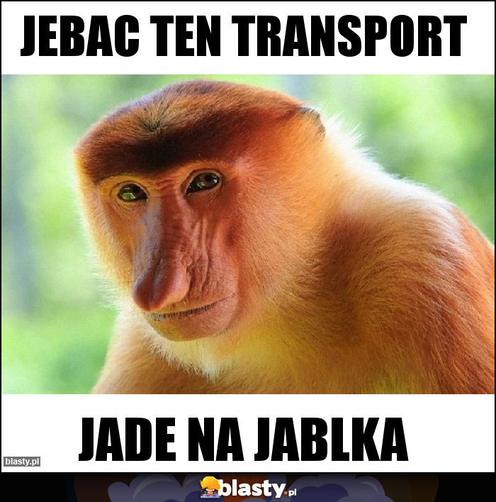 Jebac ten transport