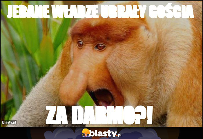 Jebane władze ubrały gościa