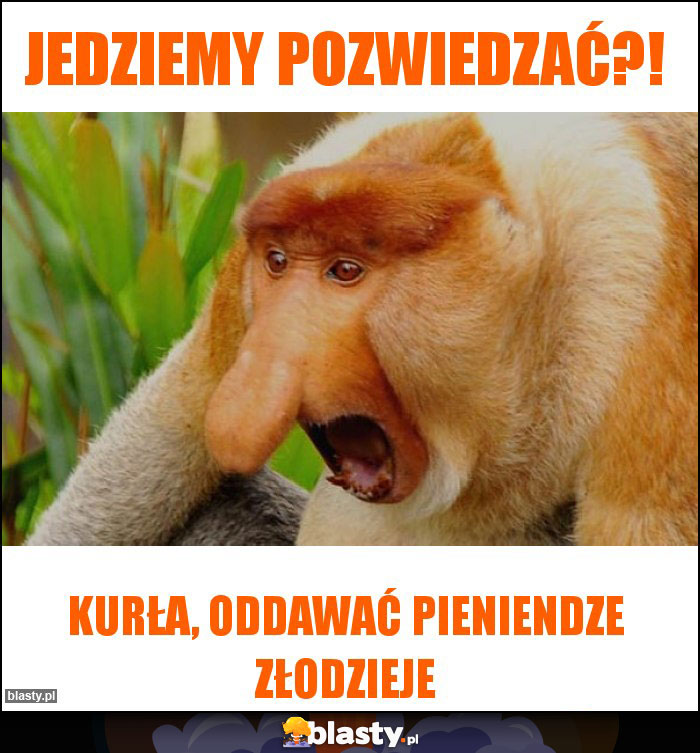 jedziemy pozwiedzać?!