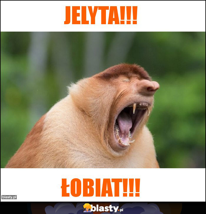 Jelyta!!!